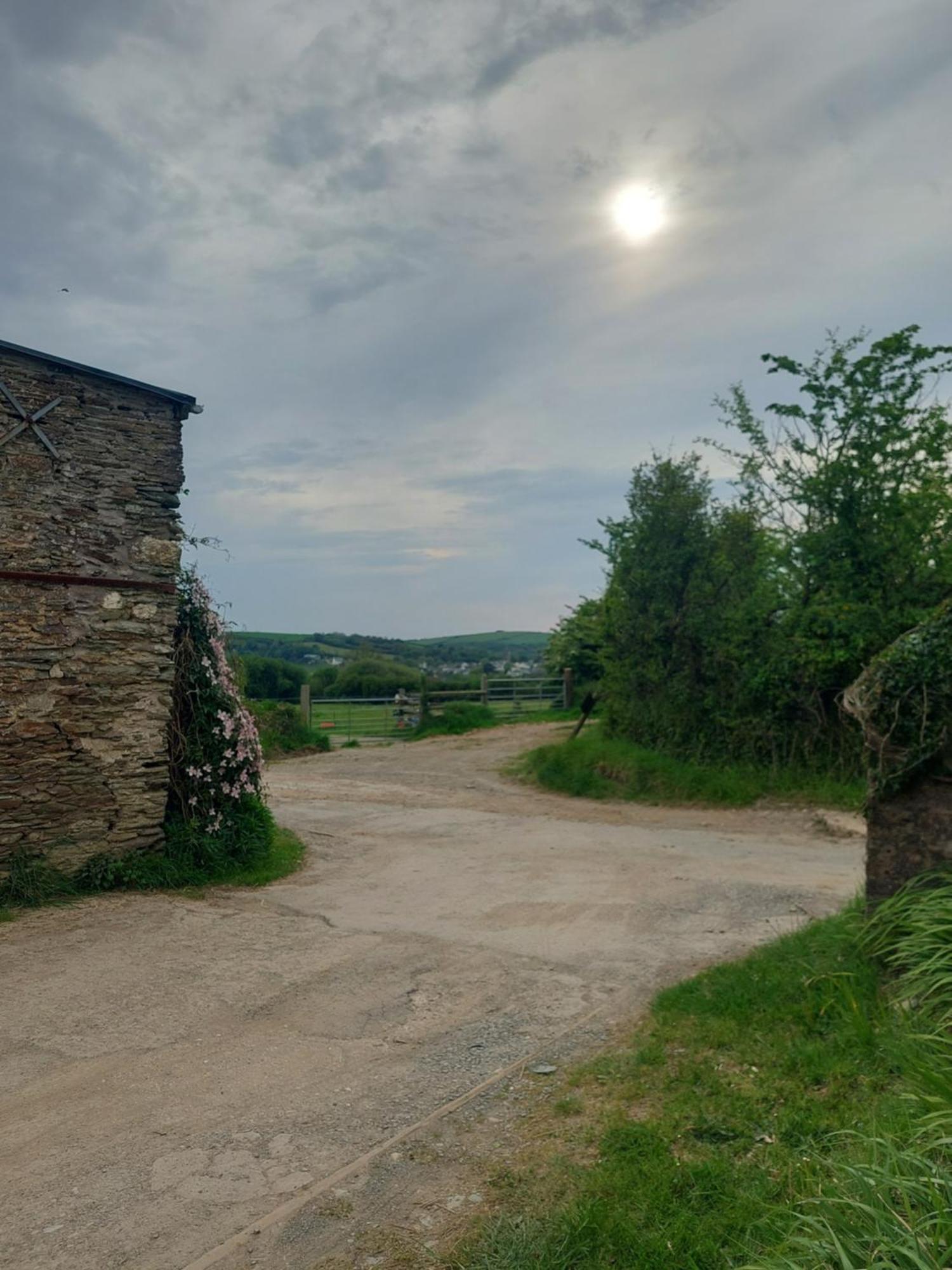 Rural Historic Farmhouse - A Peaceful Escape West Down Exteriér fotografie