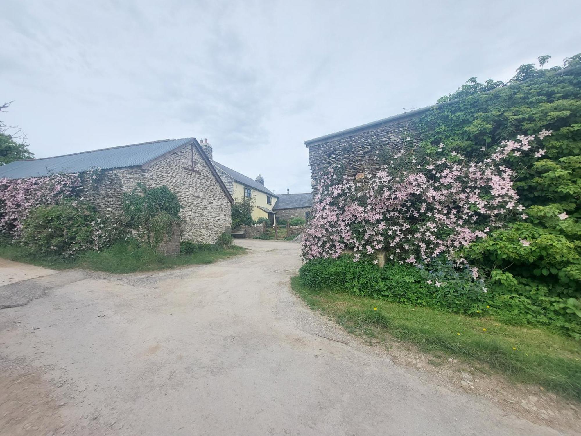 Rural Historic Farmhouse - A Peaceful Escape West Down Exteriér fotografie