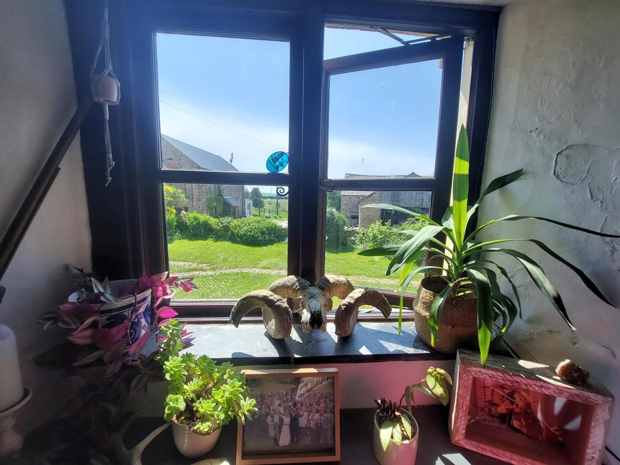 Rural Historic Farmhouse - A Peaceful Escape West Down Exteriér fotografie
